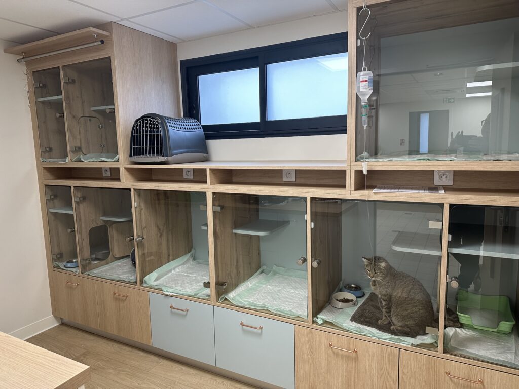 Salle chats, clinique vétérinaire R'Vet à Mios